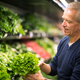 Image for article titled ‘I’m From Michigan, Too,’ Says Man Hitting It Off With Locally Grown Lettuce
